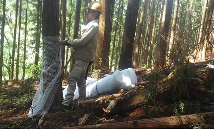 【写真】ネット巻きによる獣害対策（佐野市）