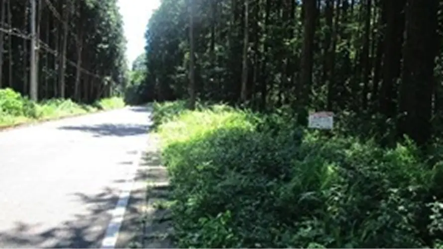 【写真】通学路周辺の里山整備事例（宇都宮市 篠井地区）