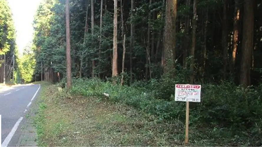 【写真】里山整備による不法投棄防止対策（宇都宮市 篠井地区）