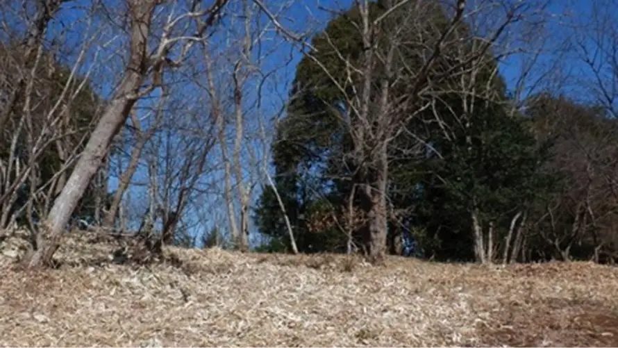 【写真】獣害被害軽減のための整備後（茂木町 小山地区）