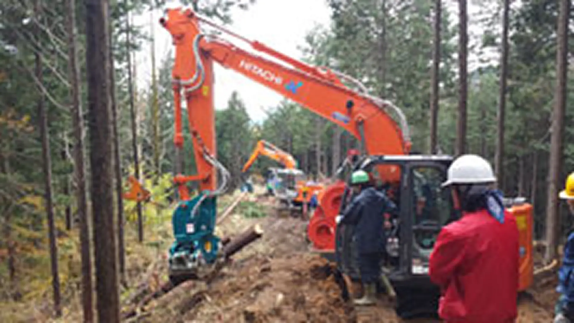 【写真】林業就業者の現状（イメージ）