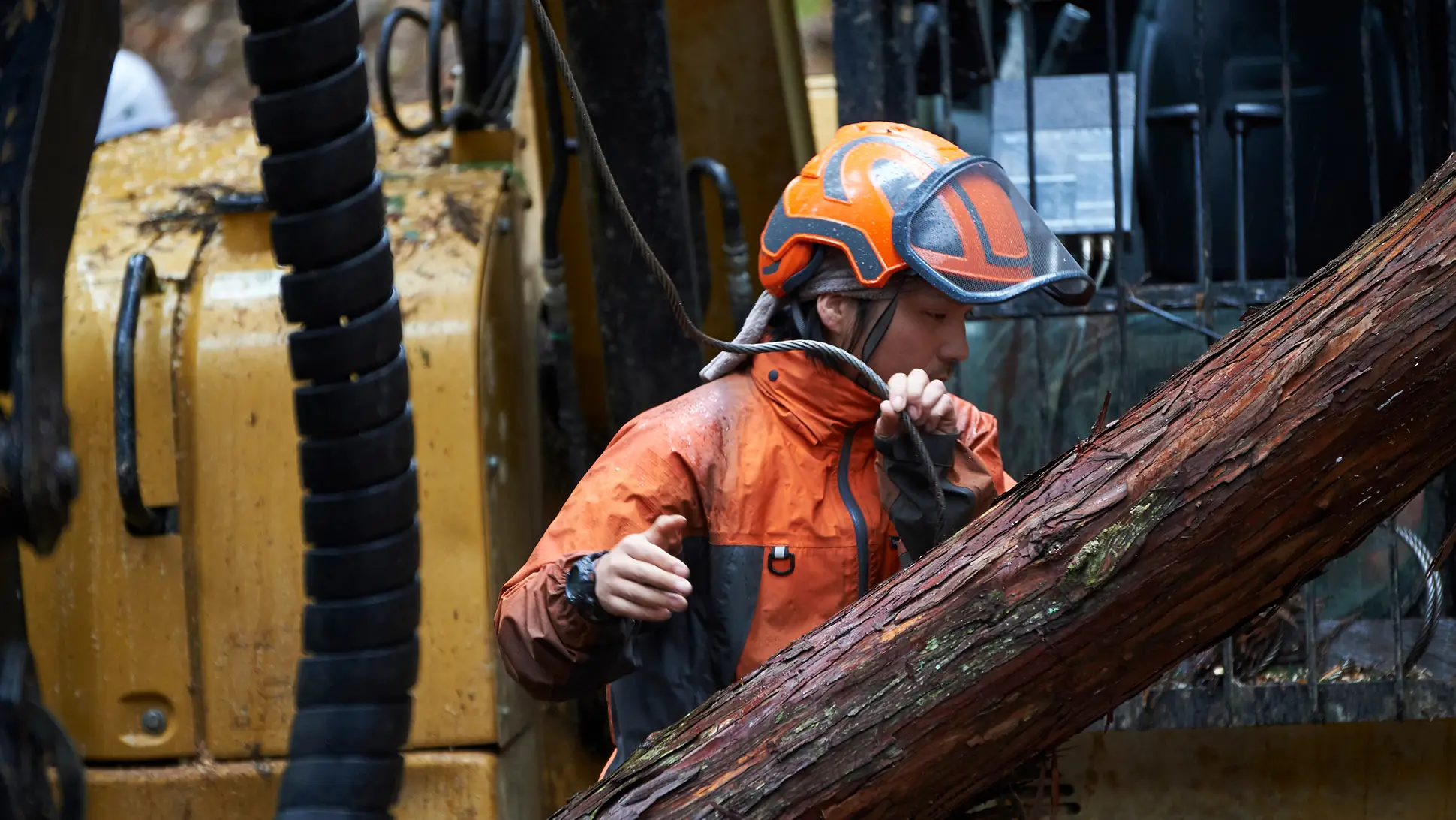 【写真】林業の現場で働く担い手の様子