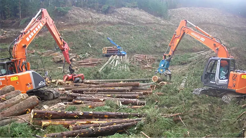 【写真】林業機械による木材搬出作業の様子