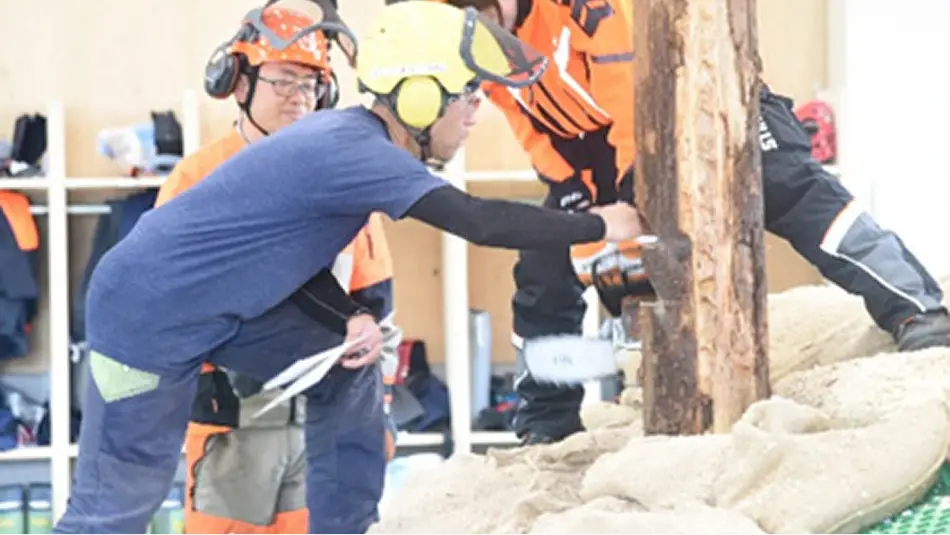 【写真】チェーンソーを使った実習風景
