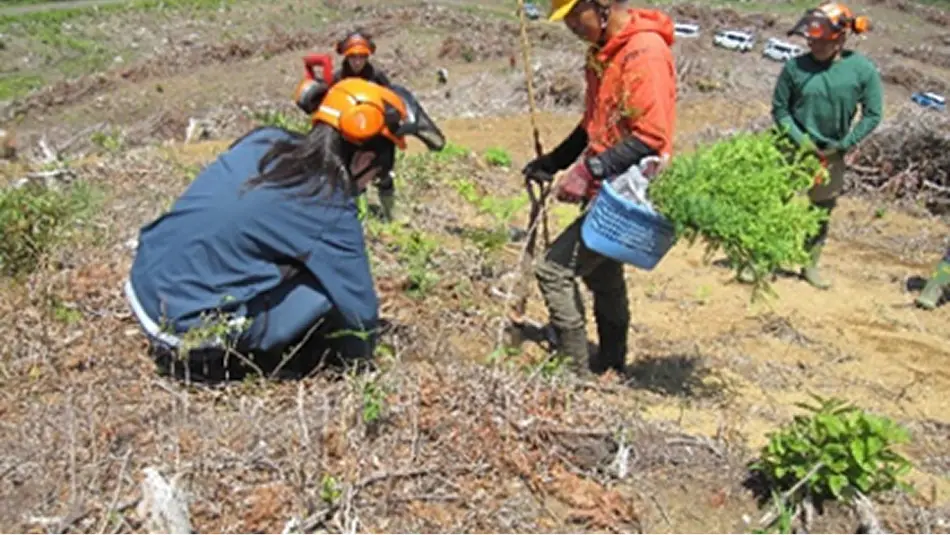 【写真】林業経営体施業地での造林実習