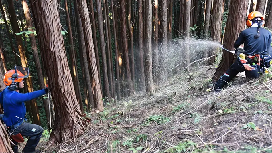 【写真】林業経営体施業地での間伐実習