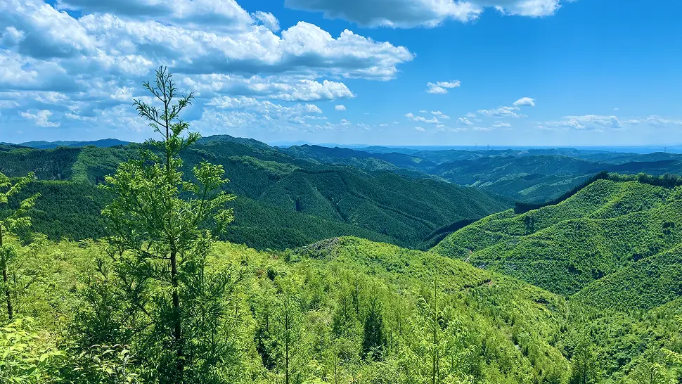 青空と白い雲の下、見渡す限り遠くまで広がる緑豊かな栃木の山並み