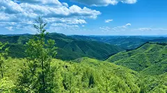 県民の力で育む元気な森づくり