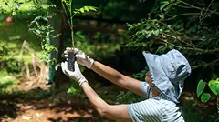 森づくりサポーター