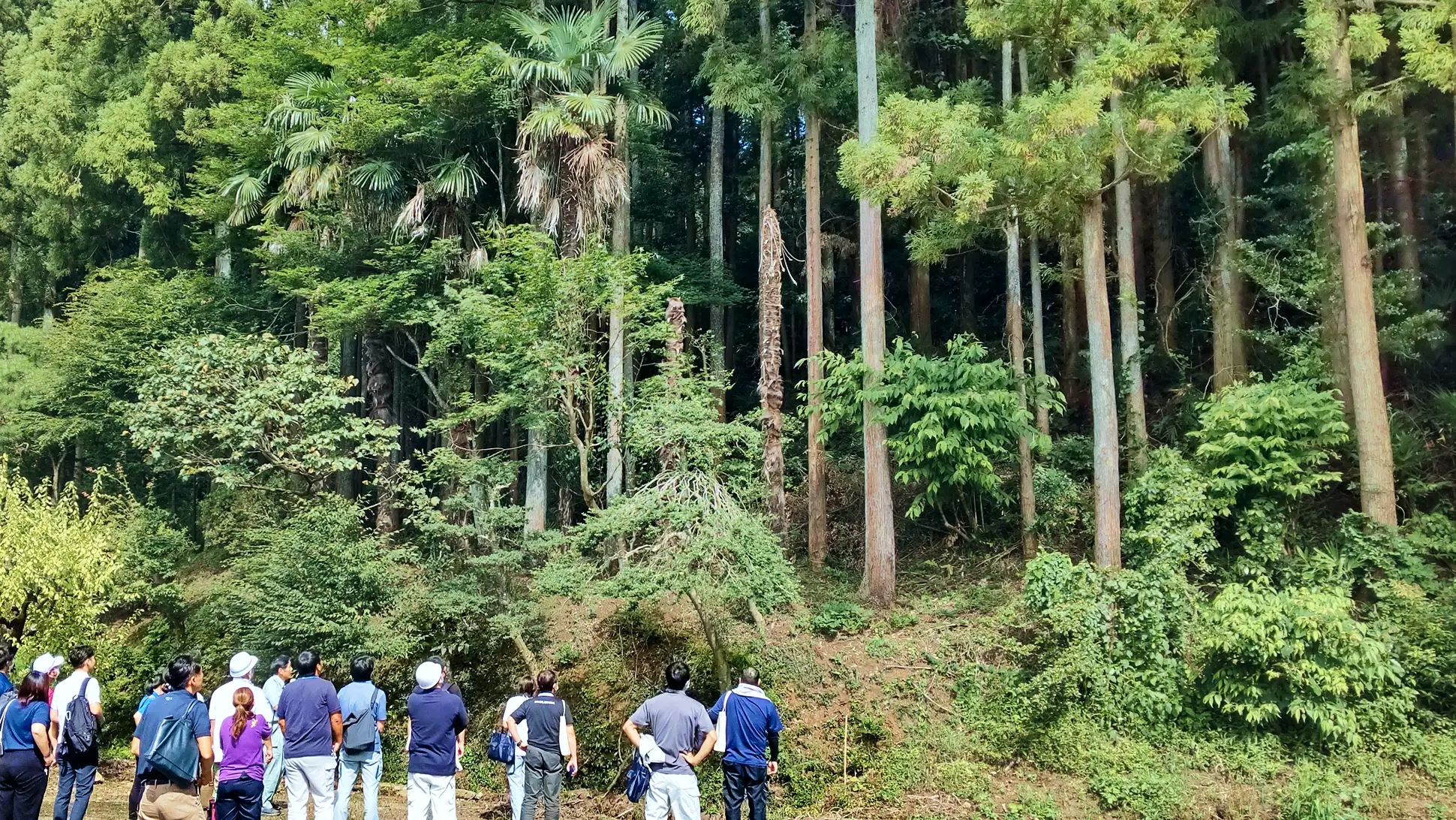 森林整備現場の視察の様子