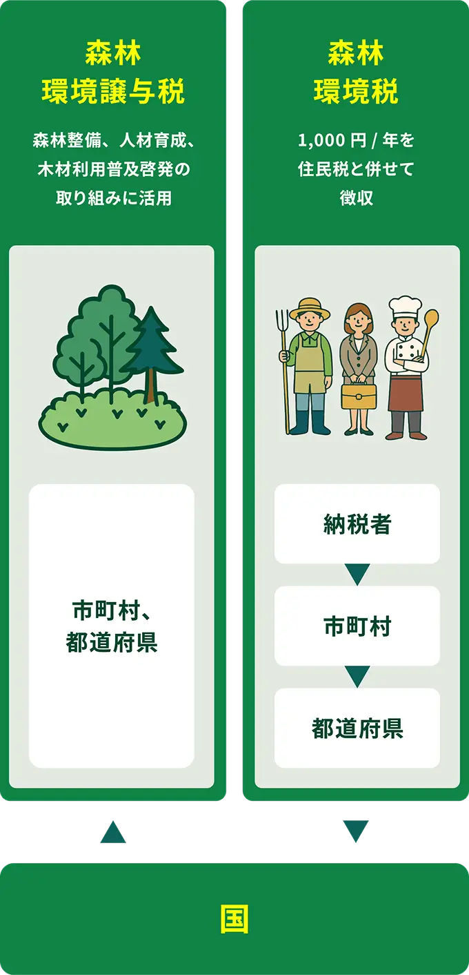 【図解】森林環境税と森林環境譲与税の仕組み。国民から徴収された税が国を通じ、私有林人工林面積などに応じて都道府県・市町村へ譲与される流れ。