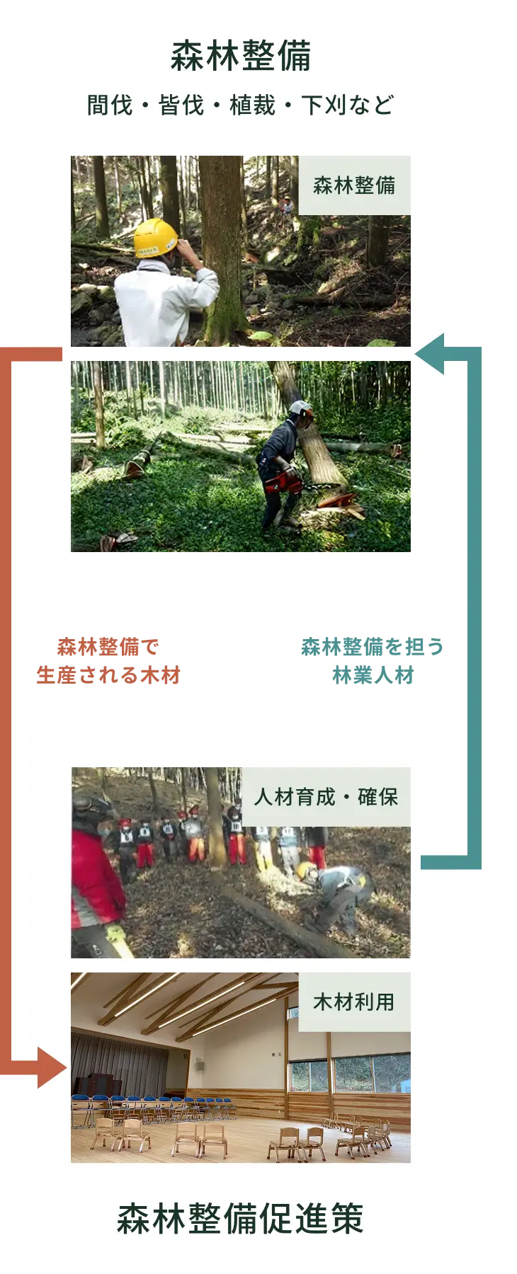 【図解】森林環境譲与税の主な使途。1.森林整備（間伐等）、2.木材利用（公共施設の木造化等）、3.人材育成・担い手確保への活用イメージ。