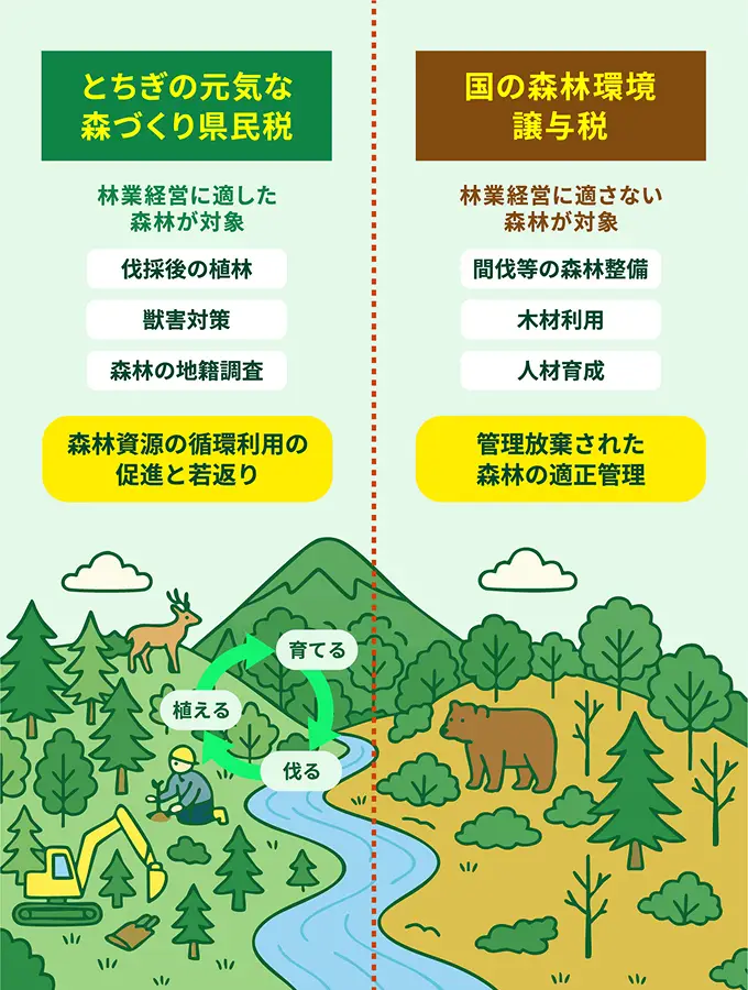 【図解】県民税と森林環境譲与税の対象森林のすみ分け。県民税は奥山の「経営林」での資源循環を、譲与税は里山などの「非経営林」での環境保全を主目的とするイメージ。