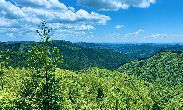 Contents 04 県民の力で育む 元気な森づくり