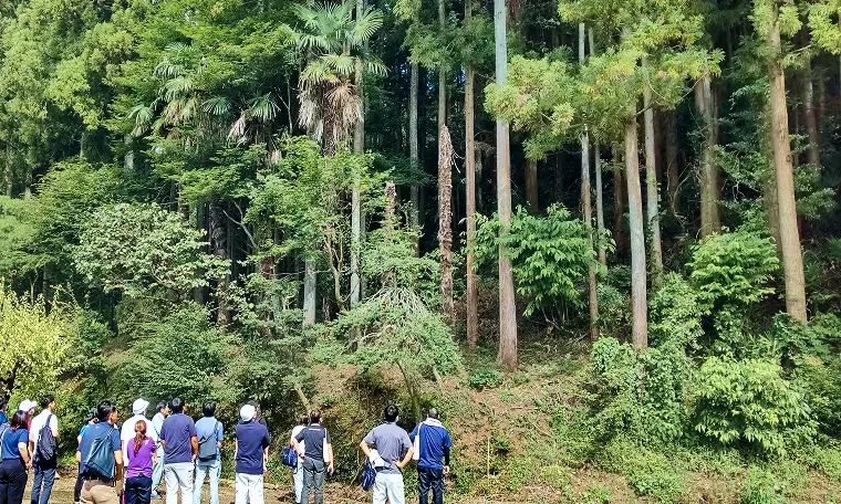 Contents 05 森林環境譲与税を活用した取組