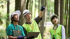 ヘルメットと安全ベストを着用し、森の中で木を指差して状況を確認するサポーターたちの活動風景