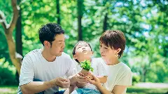 新緑の中で、小さな苗木を両親と一緒に大切そうに手に持つ子供の様子