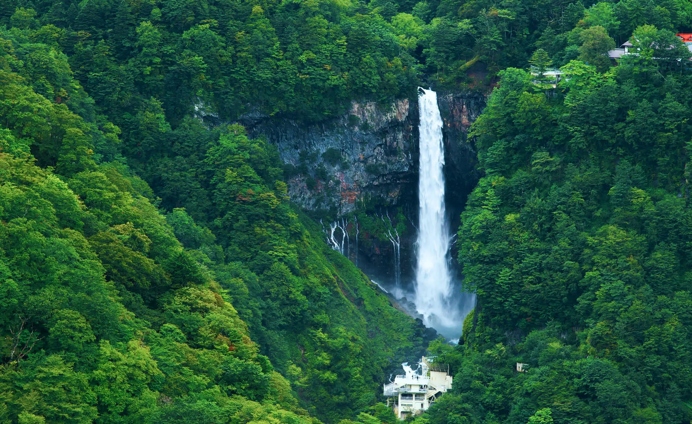深い森の断崖から勢いよく流れ落ちる華厳の滝と、周囲の自然風景