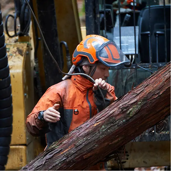 ヘルメットを着用しチェーンソーで作業する林業従事者（林業の担い手確保と育成）