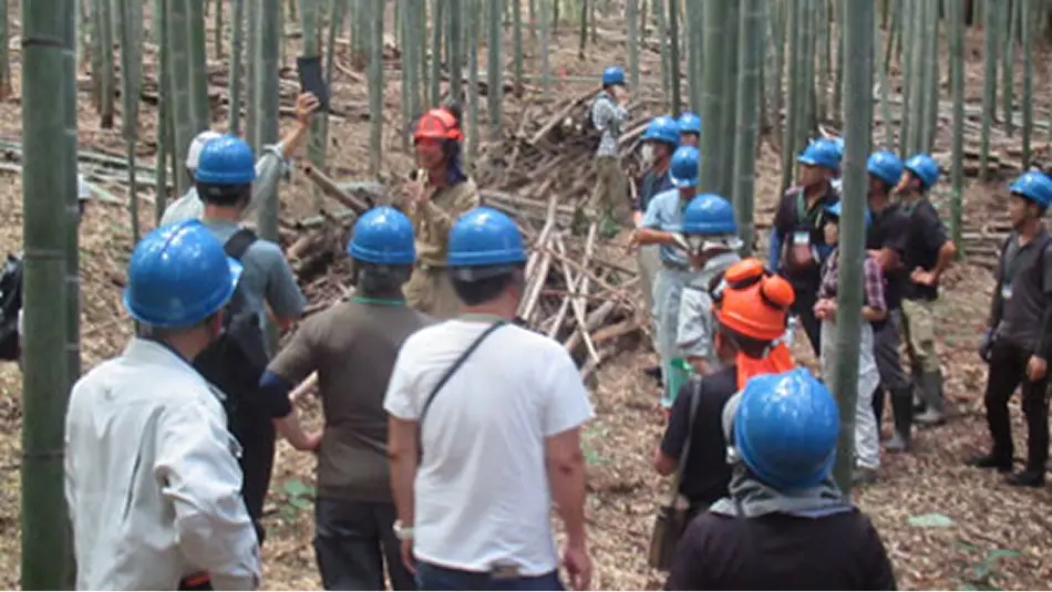 【写真】とちぎ里山塾 竹林整備の研修風景