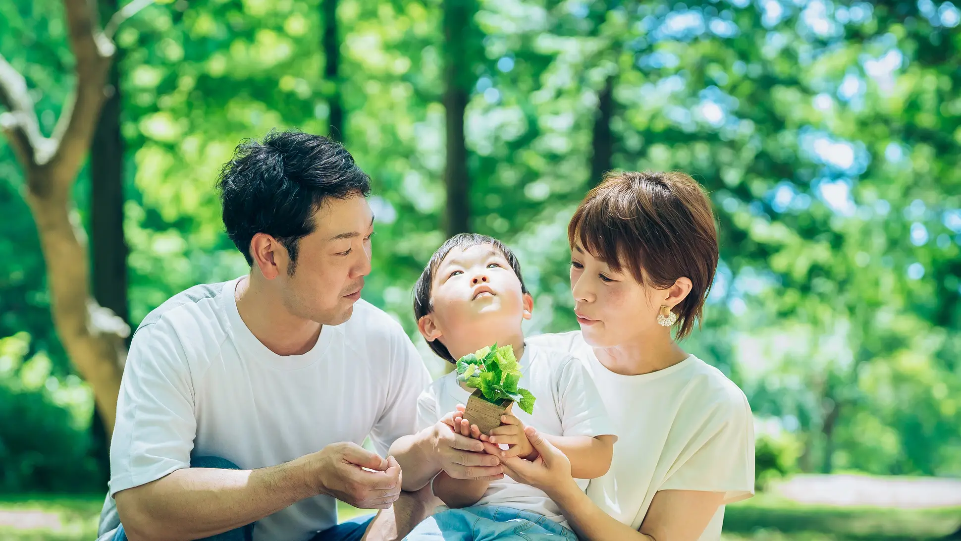 木漏れ日の中、森林ボランティアで苗木を大切に持つ親子