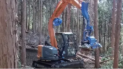 【写真】森林資源の利用・再生産のための森林整備の様子